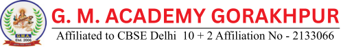 GM Academy Salempur